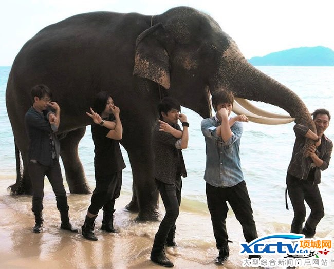 �����찢�ŵ����÷��� ����������ǃ����Pϵ���뽩��