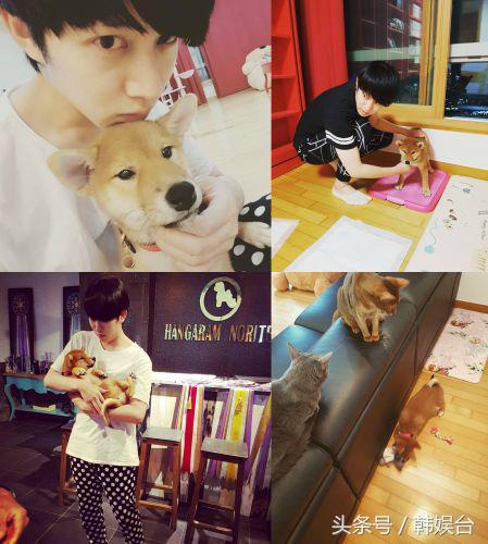 ��һ���B������SJϣ�����m�Y������Ҫȡʲô����