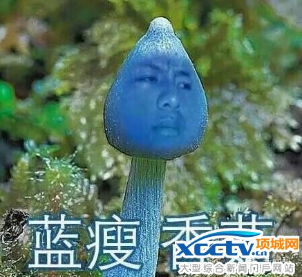 �{��,�㹽ʲô��˼ ��һ�W�t�Q����˦papi�u��˼ʮ�˗l��