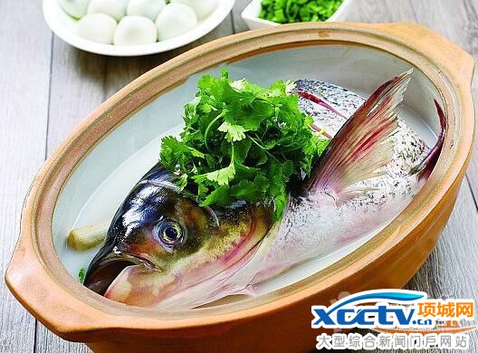 �����ǎ����� ������ʲô �����B��С֪�R �����B��ʳ�V 