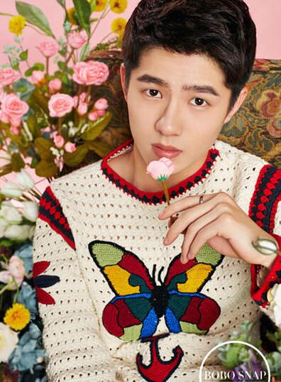 95���x�����P�c TFBOYS���Ȼʷ�ڰ�������