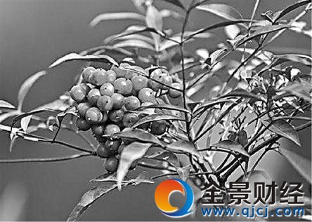 ��̫�ö�����