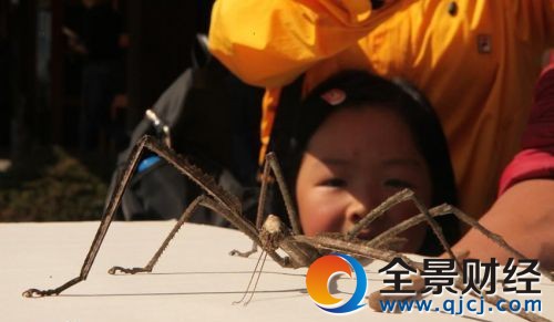 �ն��F�������x ��ҧ��?�e��!���]��