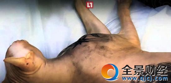 ���˽o؈�������y������Ű�� ���]�^؈��ĸ���ô