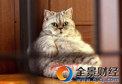 �|�����ֳɚ��򱻾W�ѳ�Ц �eЦ!'���ϻ�'���@�ӵ�