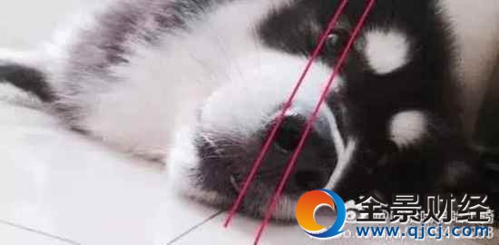 13�f�W���ع��ИI���� �T��h���ó��ԟo���԰�