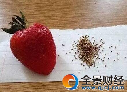 ����������� ׌�˿�Ц���õĵ�һ��