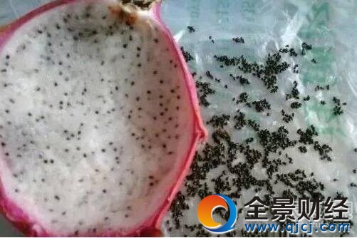 ����������� ׌�˿�Ц���õĵ�һ��