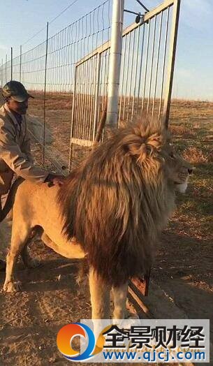 Smokey經常故意拖延這個過程,讓Mike更多地關注自己,它把Mike看作自己最喜歡的人。