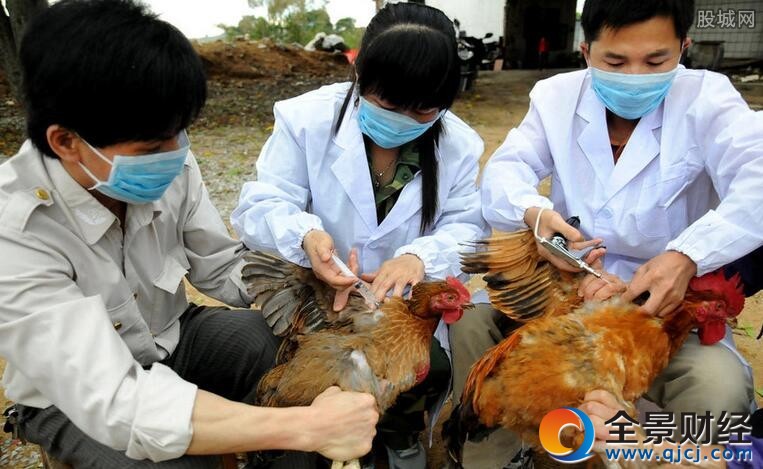 �����и��������Щ