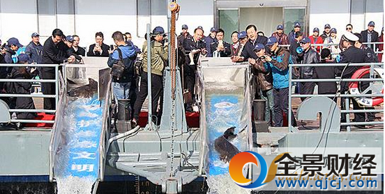 ��hͶ�����A�\ �״�Ͷ�Ş鱣�o�L�����B(t��i)�YԴ