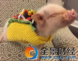 ���������i��͵���\ INS�ի@�˳�4�f�۽z���Pע